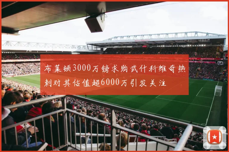 布莱顿3000万镑求购武什科维奇热刺对其估值超6000万引发关注