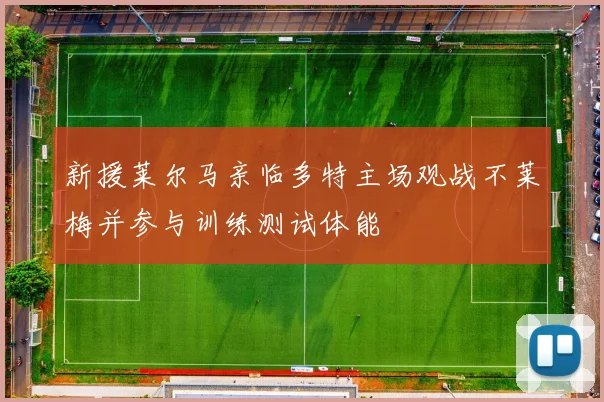 新援莱尔马亲临多特主场观战不莱梅并参与训练测试体能
